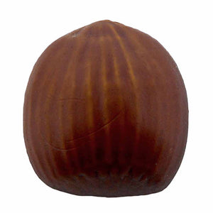 Hazelnut Novelty Button - Brown